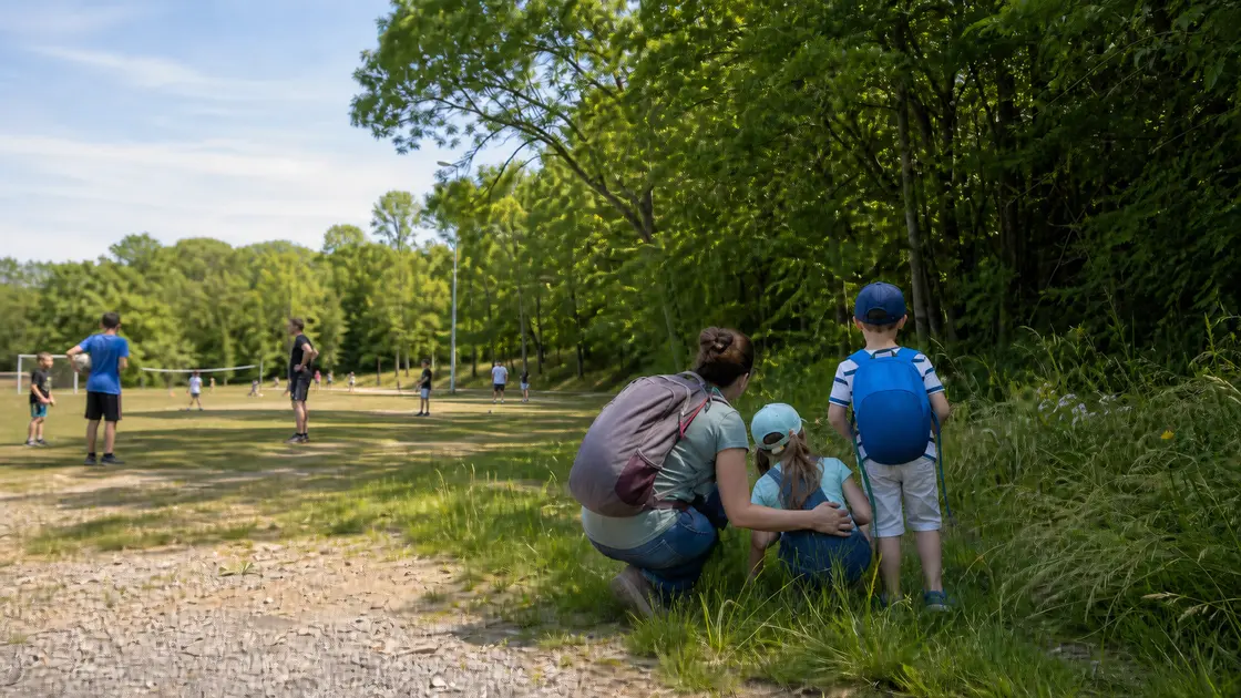 Une famille de dos entre un terrain de sport et une lisière de forêt