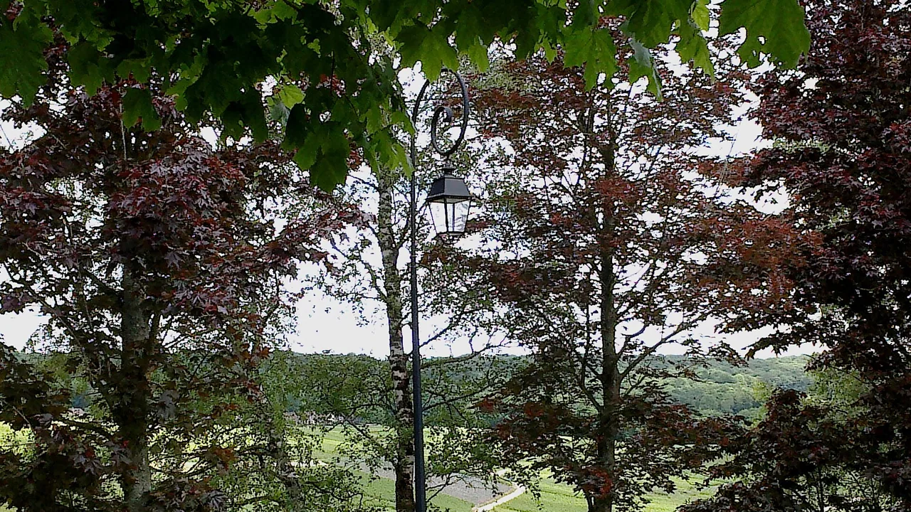 Forêts et vignobles autour d'Hautvillers dans la Marne