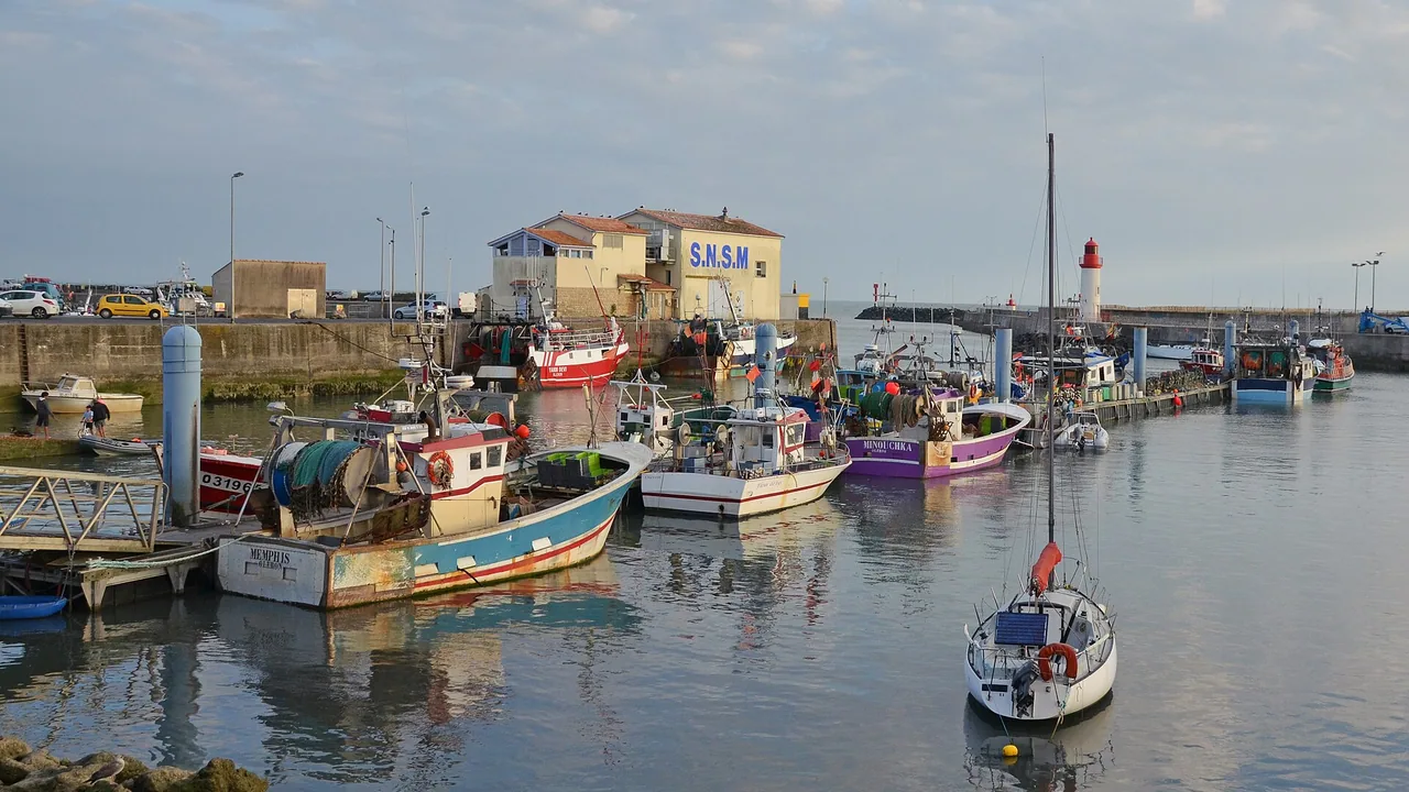 Le port de La Cotinière à Saint-Pierre-d'Oléron