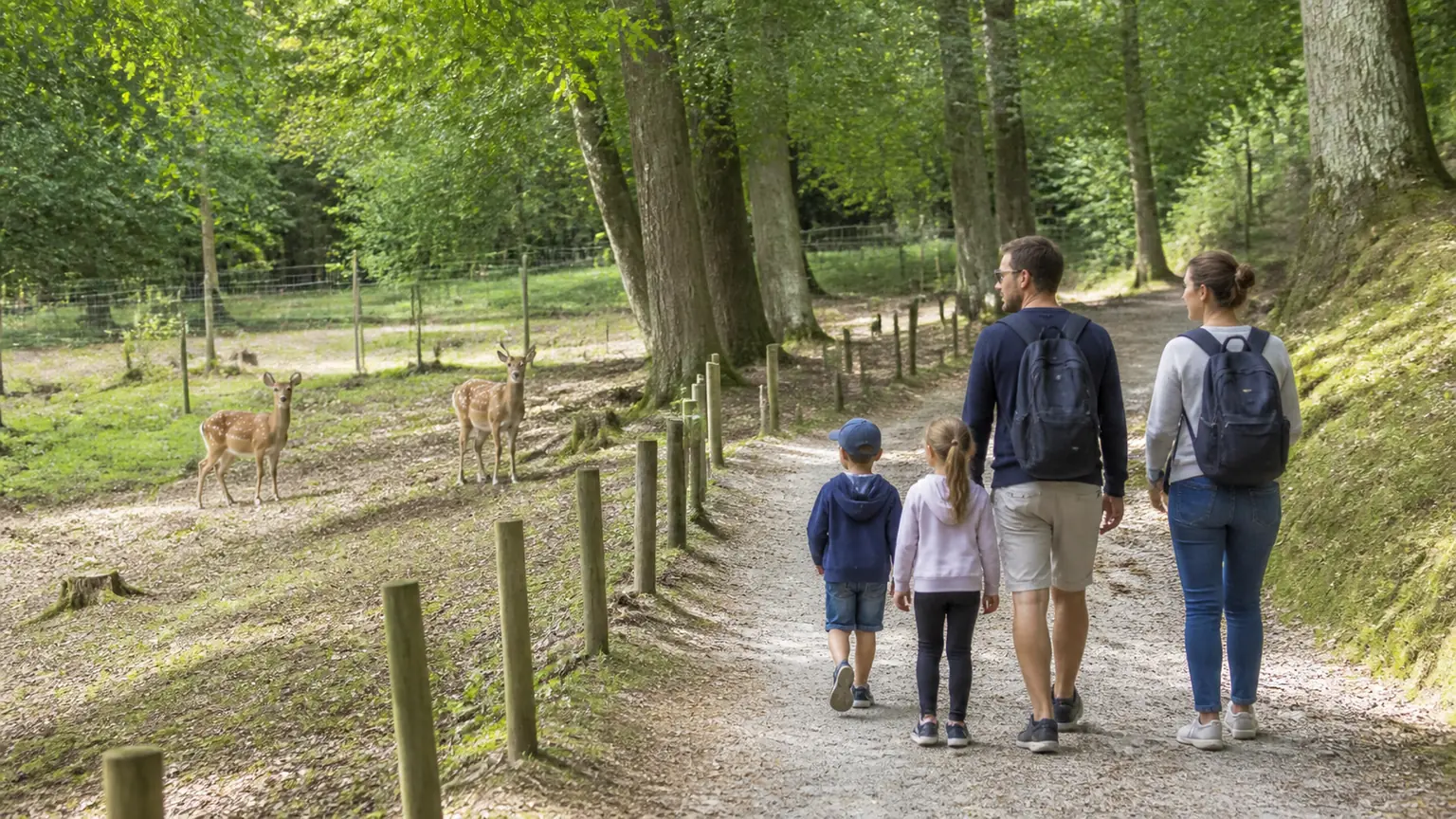 Une famille se promène dans un parc animalier forestier au parc d'Ecouves