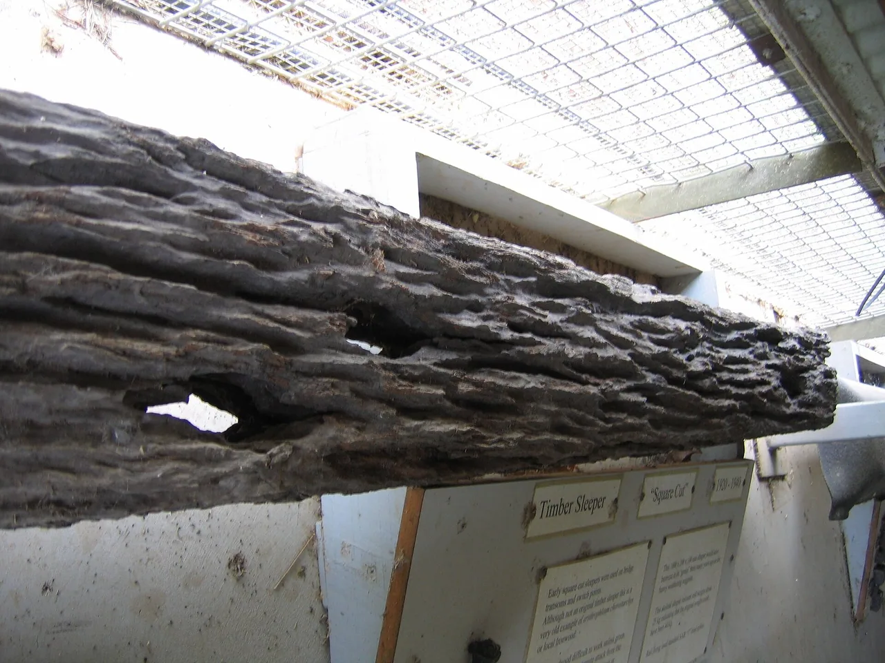 Pièce de bois fortement endommagée par des termites
