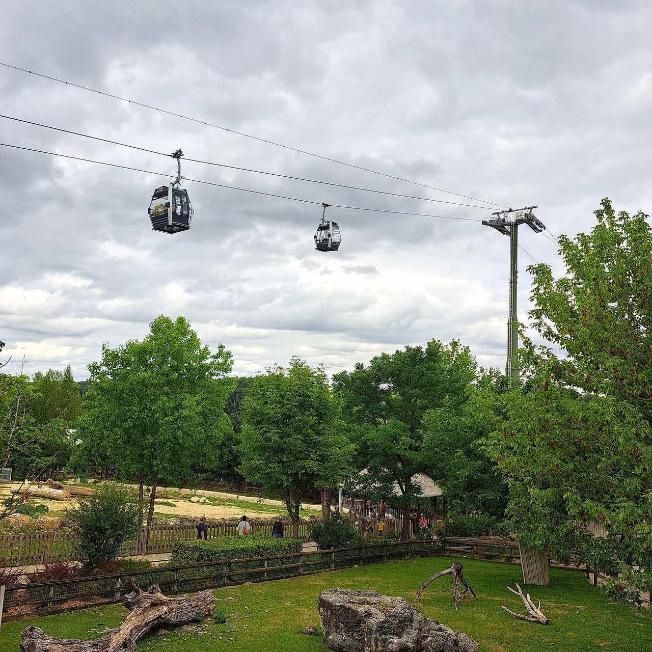 Télécabine au-dessus du ZooParc de Beauval