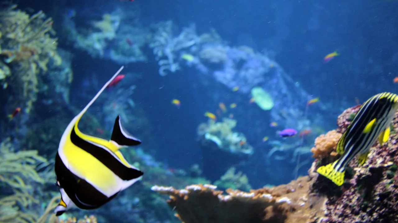 Aquarium de Biarritz sur la côte basque