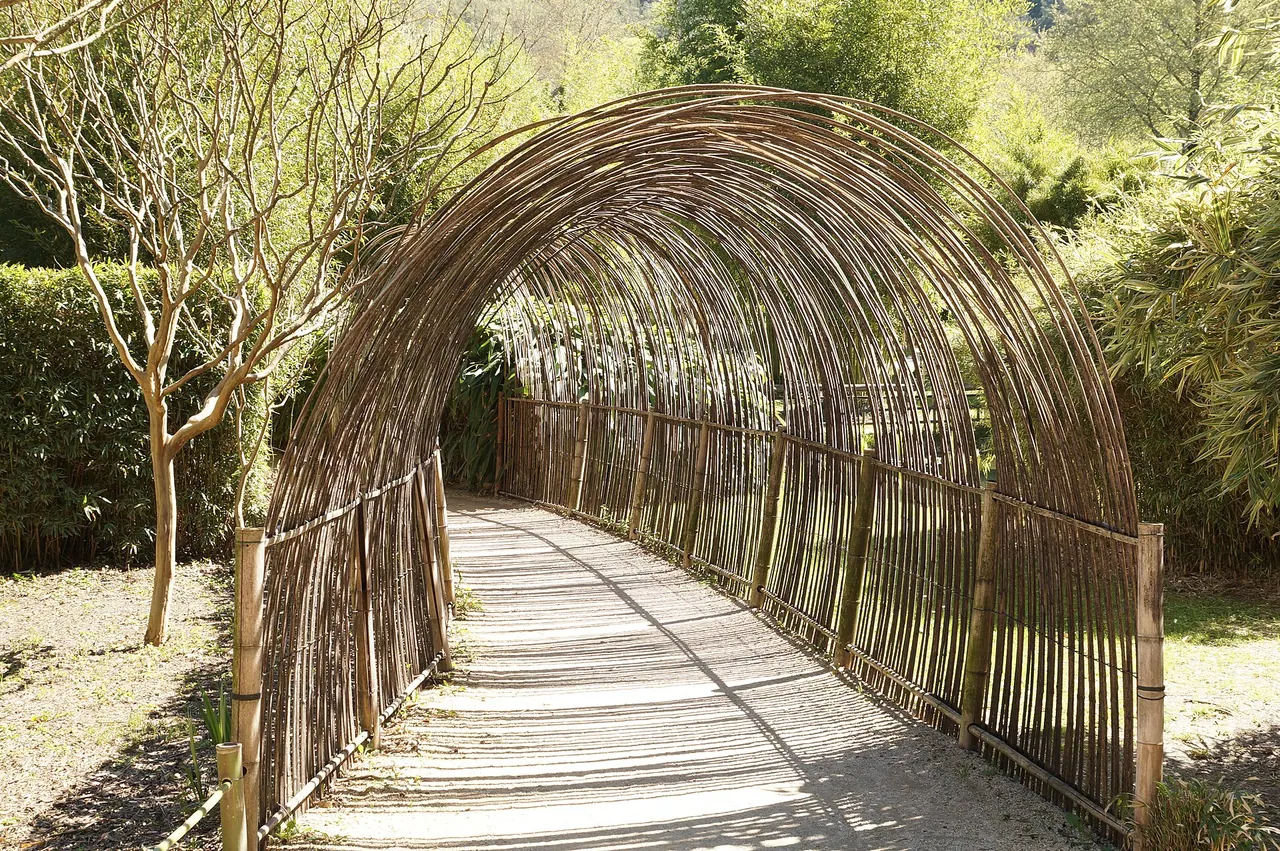 Allée bordée de végétation dans la Bambouseraie d'Anduze