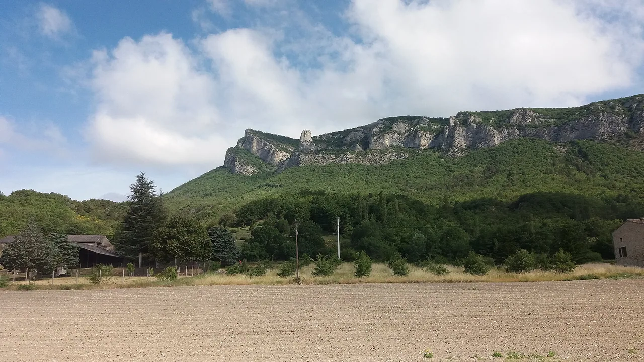 Vue sur la forêt de Saoû dans la Drôme