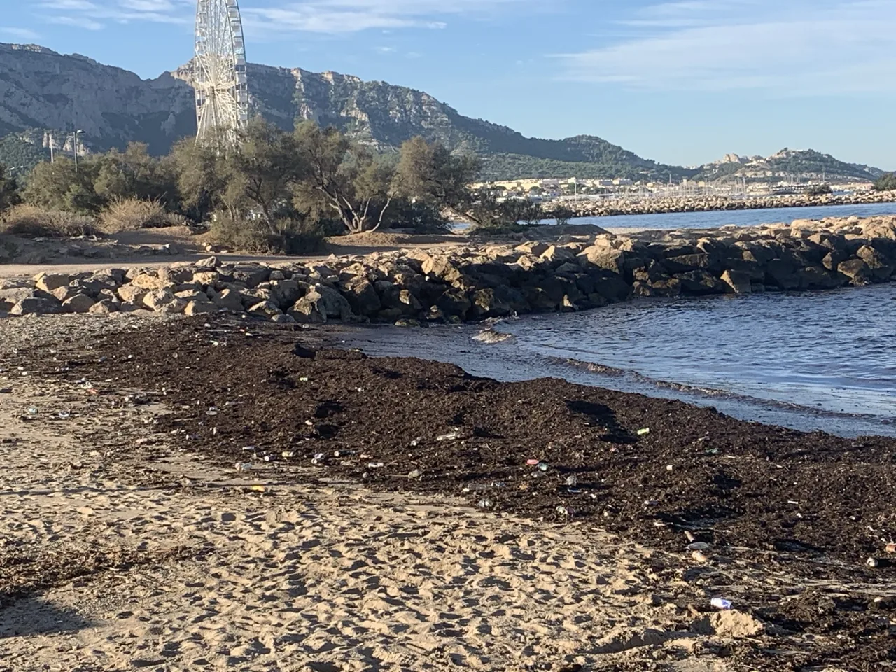 Rivage de la plage de l'Huveaune avec des déchets visibles et la grande roue au loin
