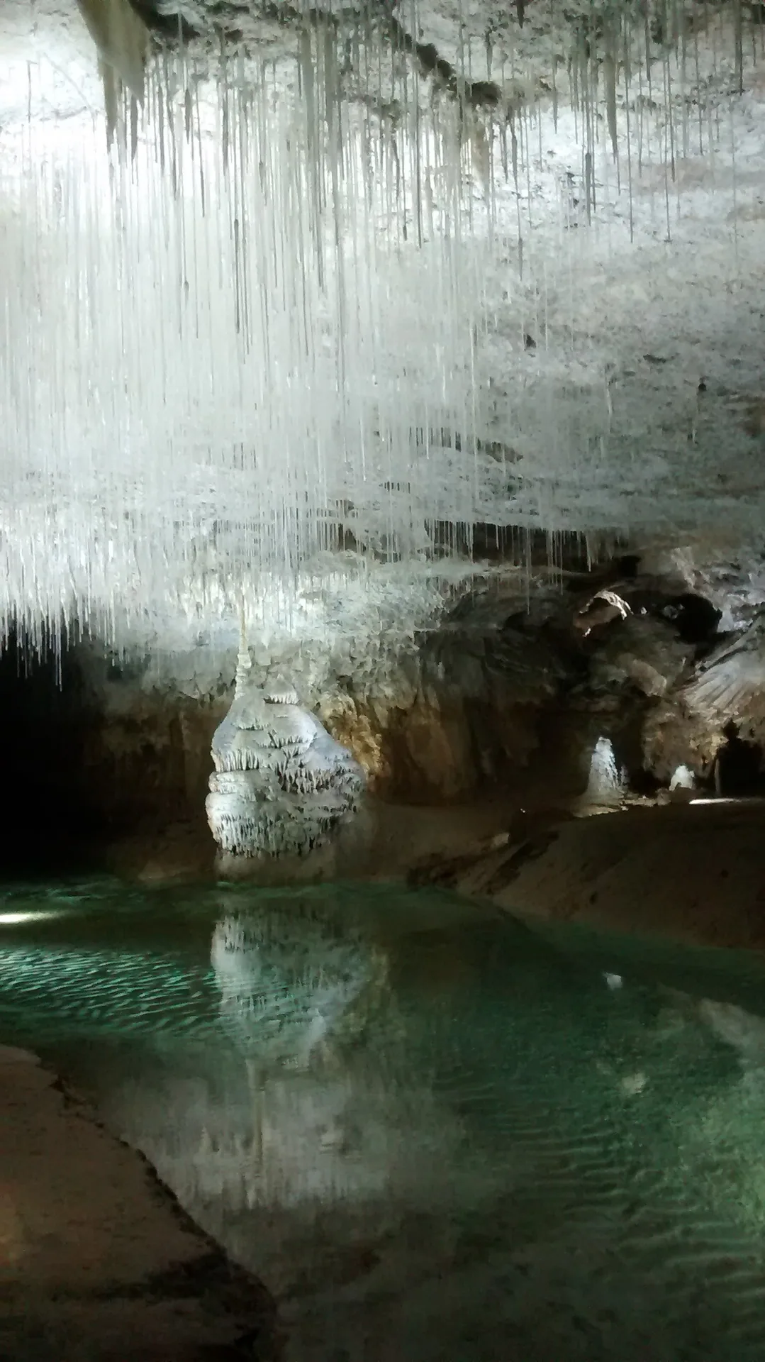 Concrétions à l'intérieur de la Grotte de Choranche dans le Vercors
