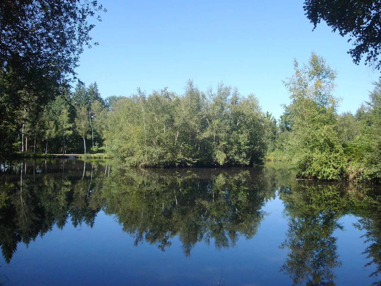 Lac dans la forêt de l'Arche de la Nature au Mans
