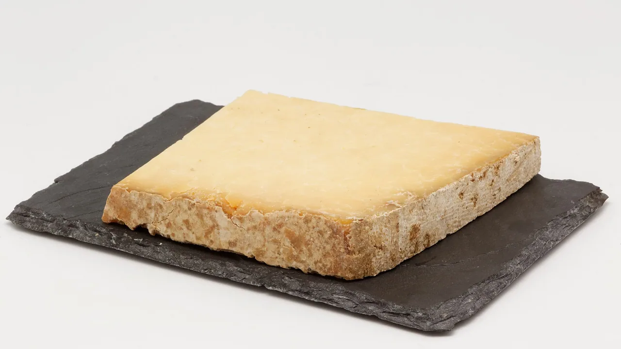 Fromage Salers du Massif central