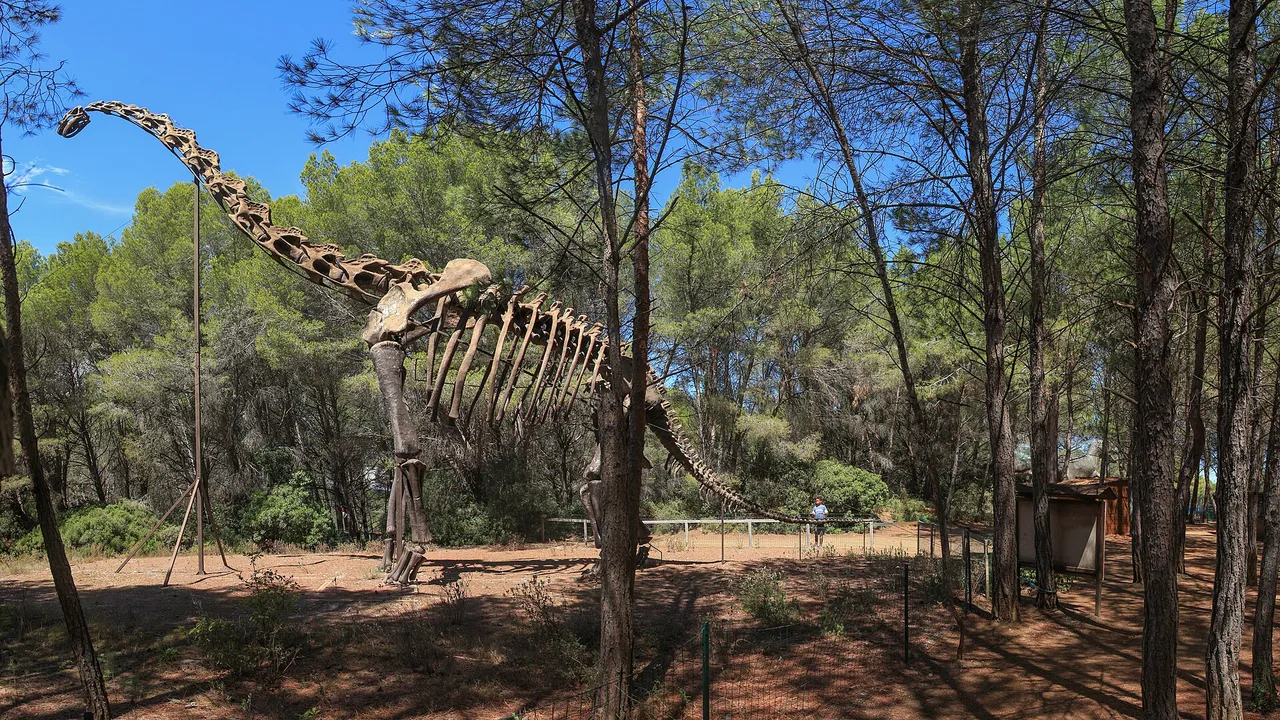 Squelette de sauropode au Parc des Dinosaures de Mèze
