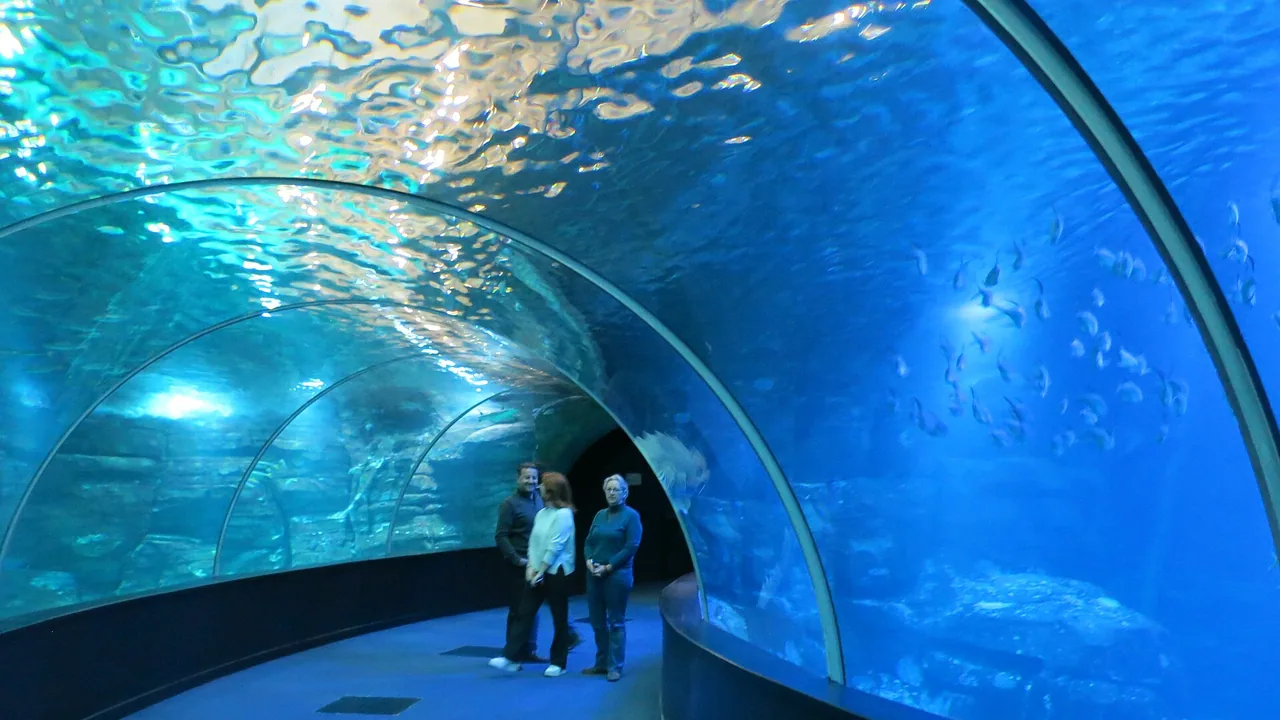 Tunnel de l’aquarium Nausicaá à Boulogne-sur-Mer