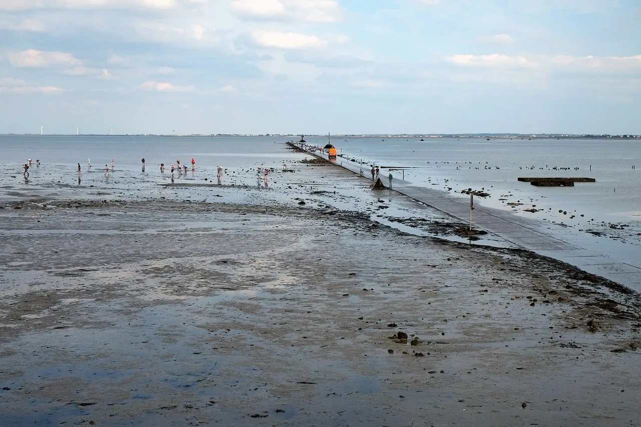 Passage du Gois reliant l'île de Noirmoutier au continent à marée basse