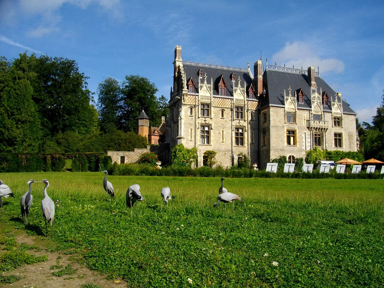 Château de Clères dans le parc zoologique