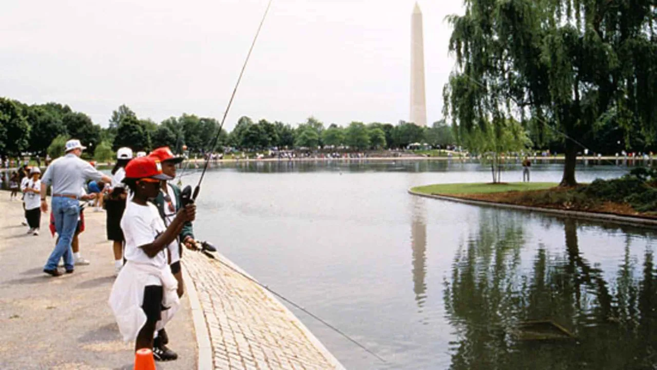 Enfants pêchant au bord d'un plan d'eau