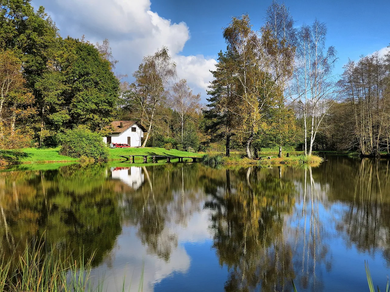 Étang avec une île sur le Plateau des Mille Étangs en Haute-Saône