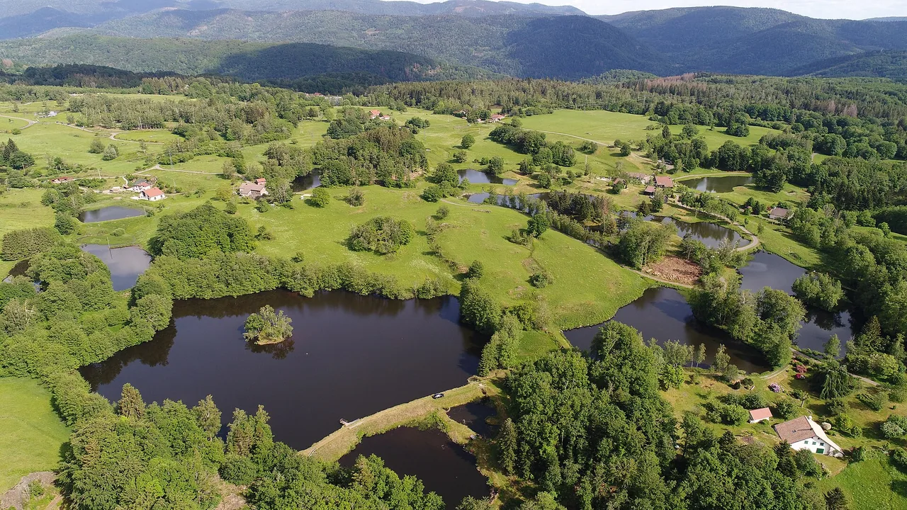 Étangs de Servance sur le Plateau des 1000 Étangs en Haute-Saône
