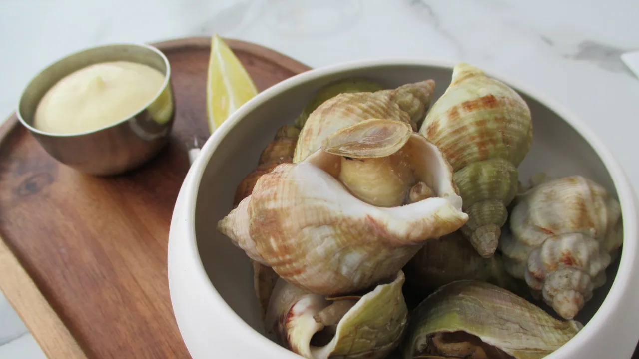 Bol de bulots cuits avec du citron et de la mayonnaise, photographie culinaire hors Granville