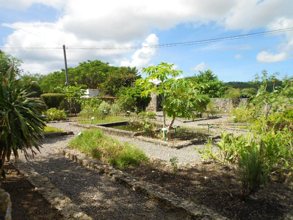 Jardin médicinal de l'habitation Murat avec les plantes de la médecine traditionnelle