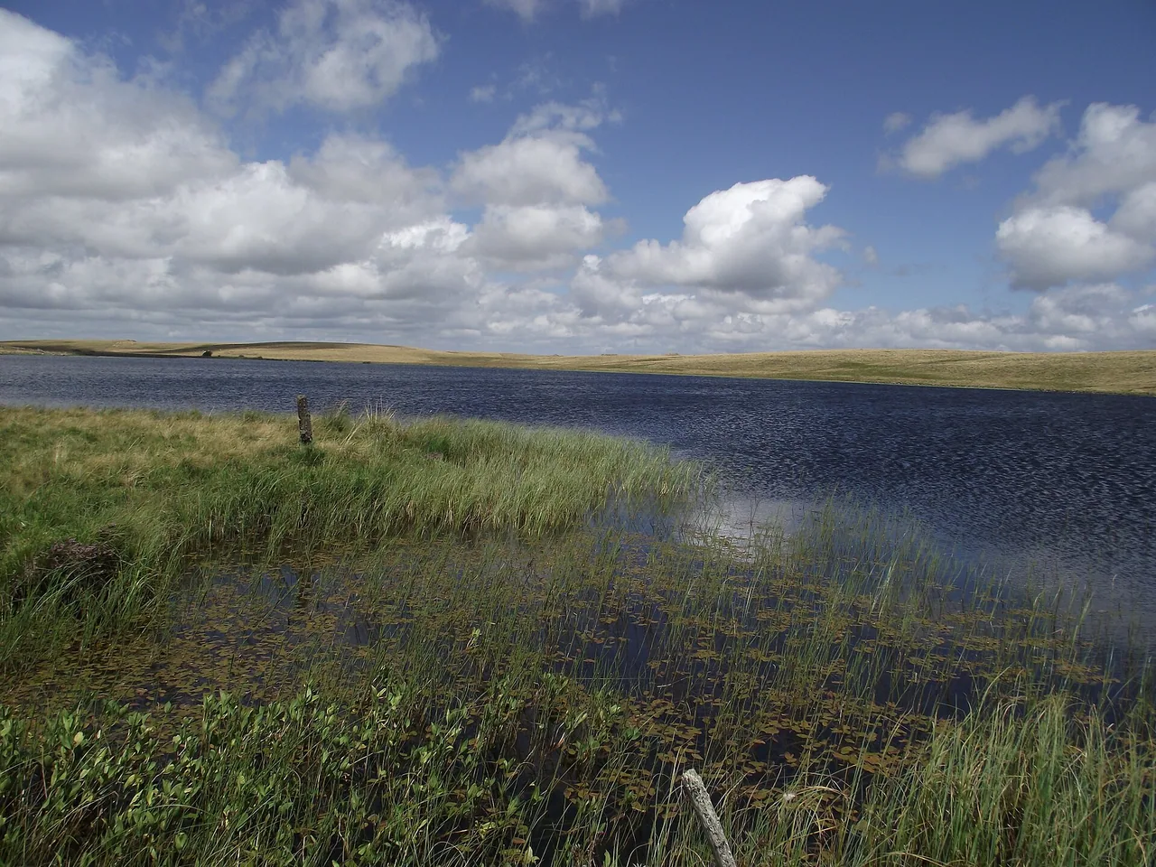 Lac de Saint-Andéol sur le plateau de l'Aubrac en juillet 2015