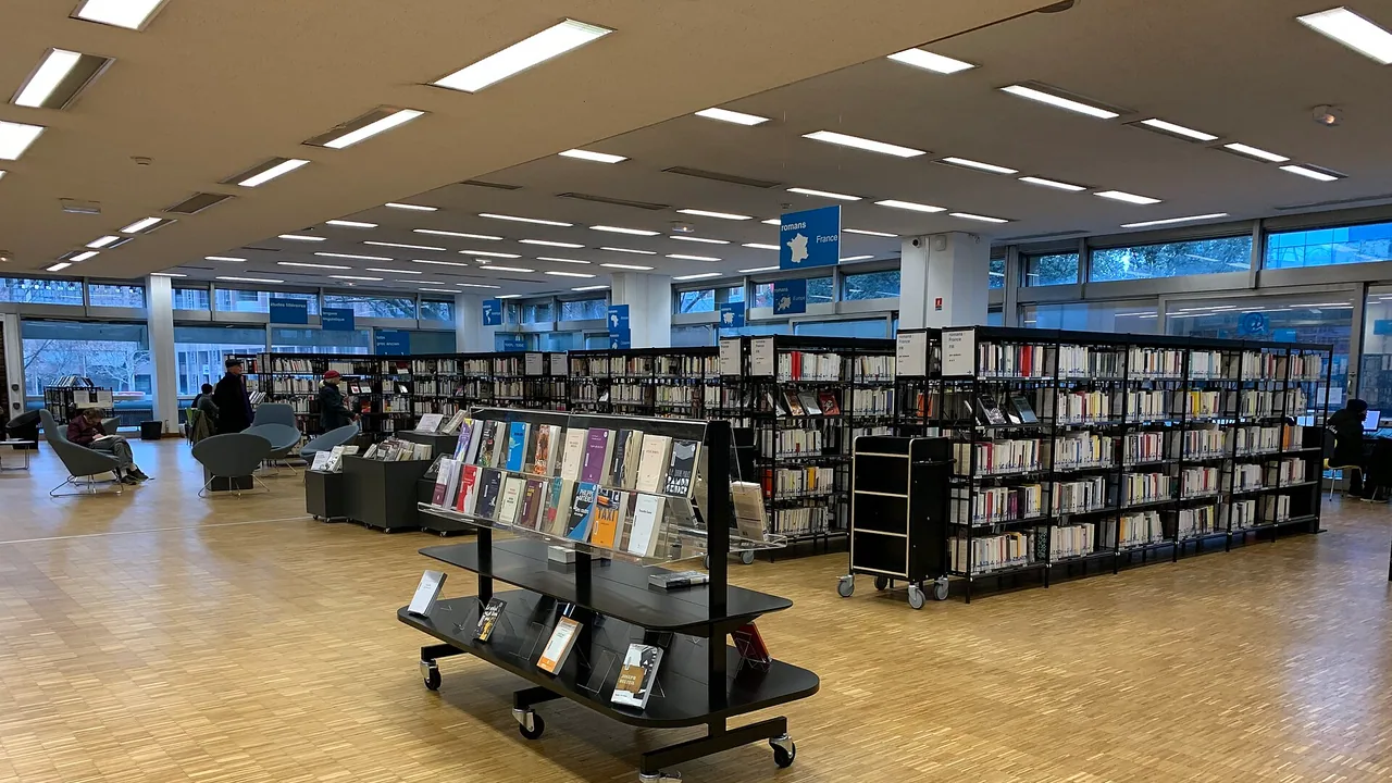 Espace du secteur patrimoine local à la bibliothèque municipale de Lyon Part-Dieu en janvier 2019, sans montrer un atelier de l'Automne des gones.