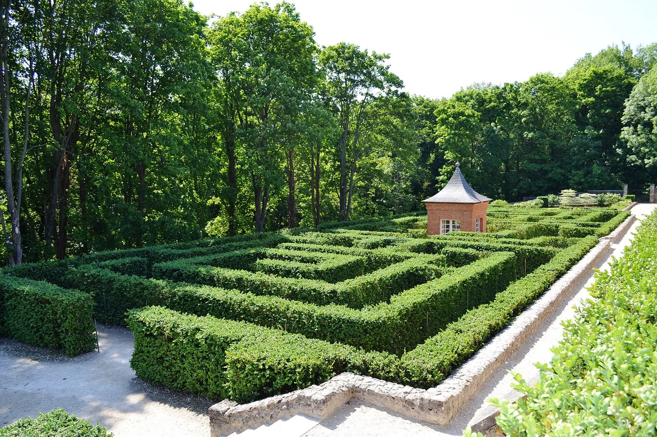 Labyrinthe de buis du parc du château de Breteuil photographié en 2012.