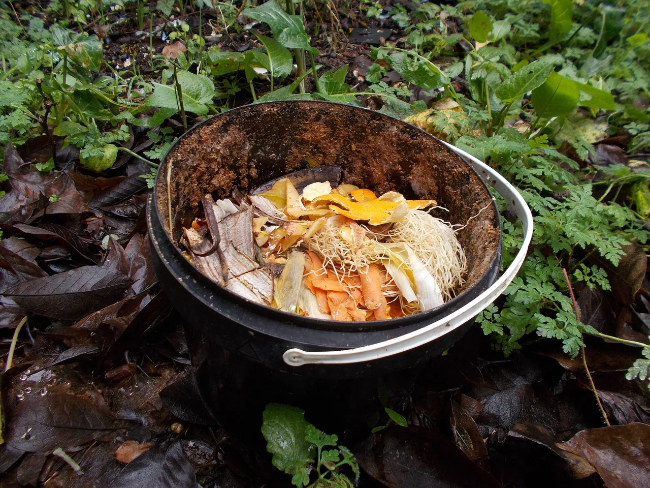 Bioseau destiné à recueillir les déchets alimentaires dans la cuisine avant leur dépôt