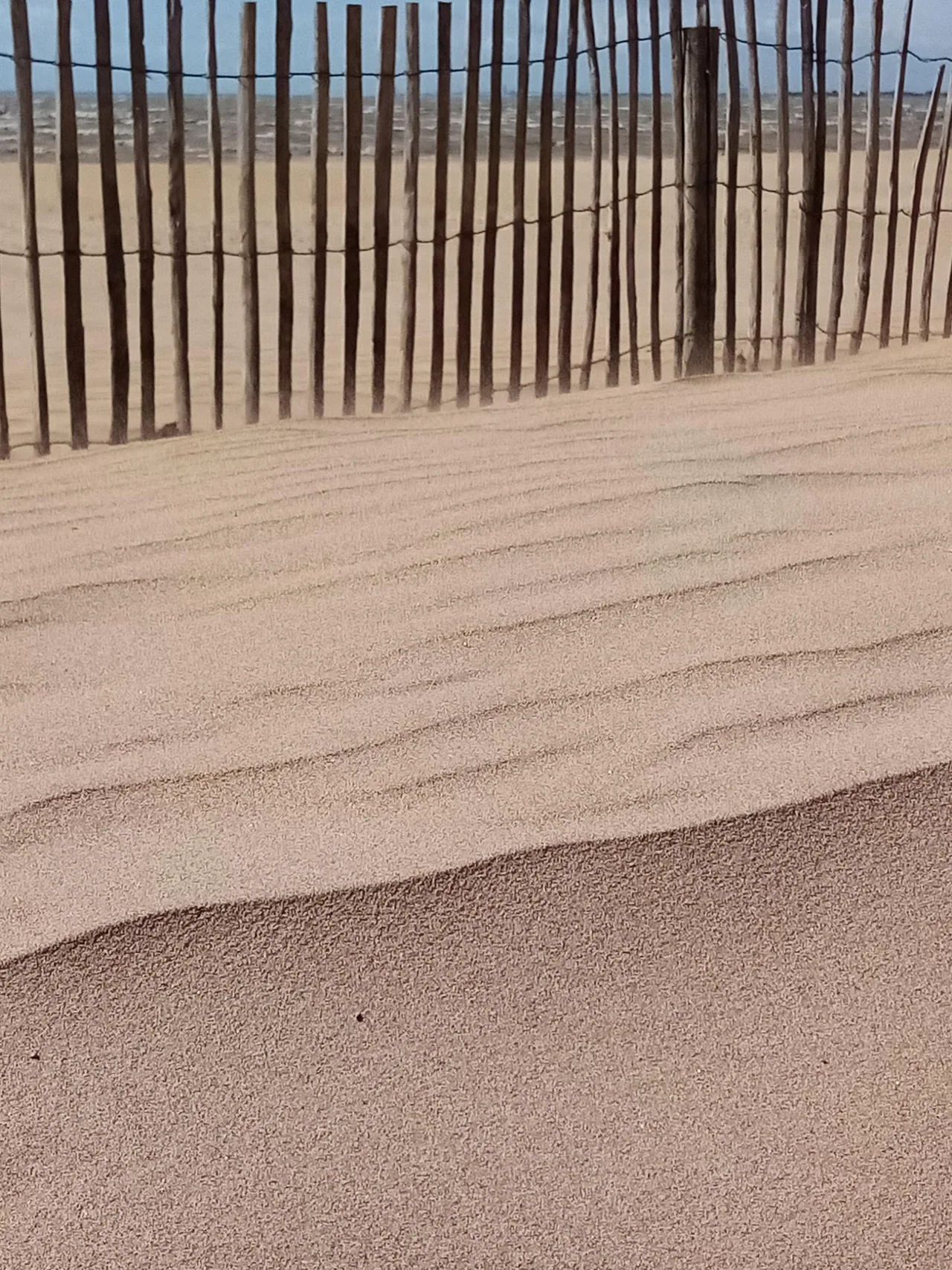 Dunes et sable de la plage de Châtelaillon-Plage au printemps 2025