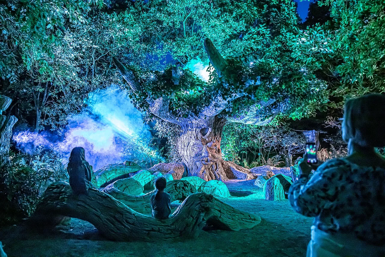 Parcours nocturne de sons et lumières Terra Nocta à Terra Botanica, photographié en 2022