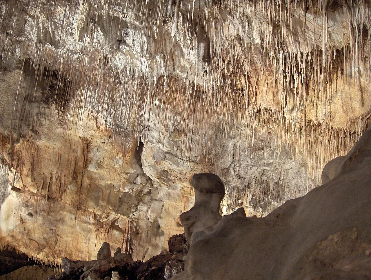 Stalactites tubulaires au plafond des Grottes de Thouzon