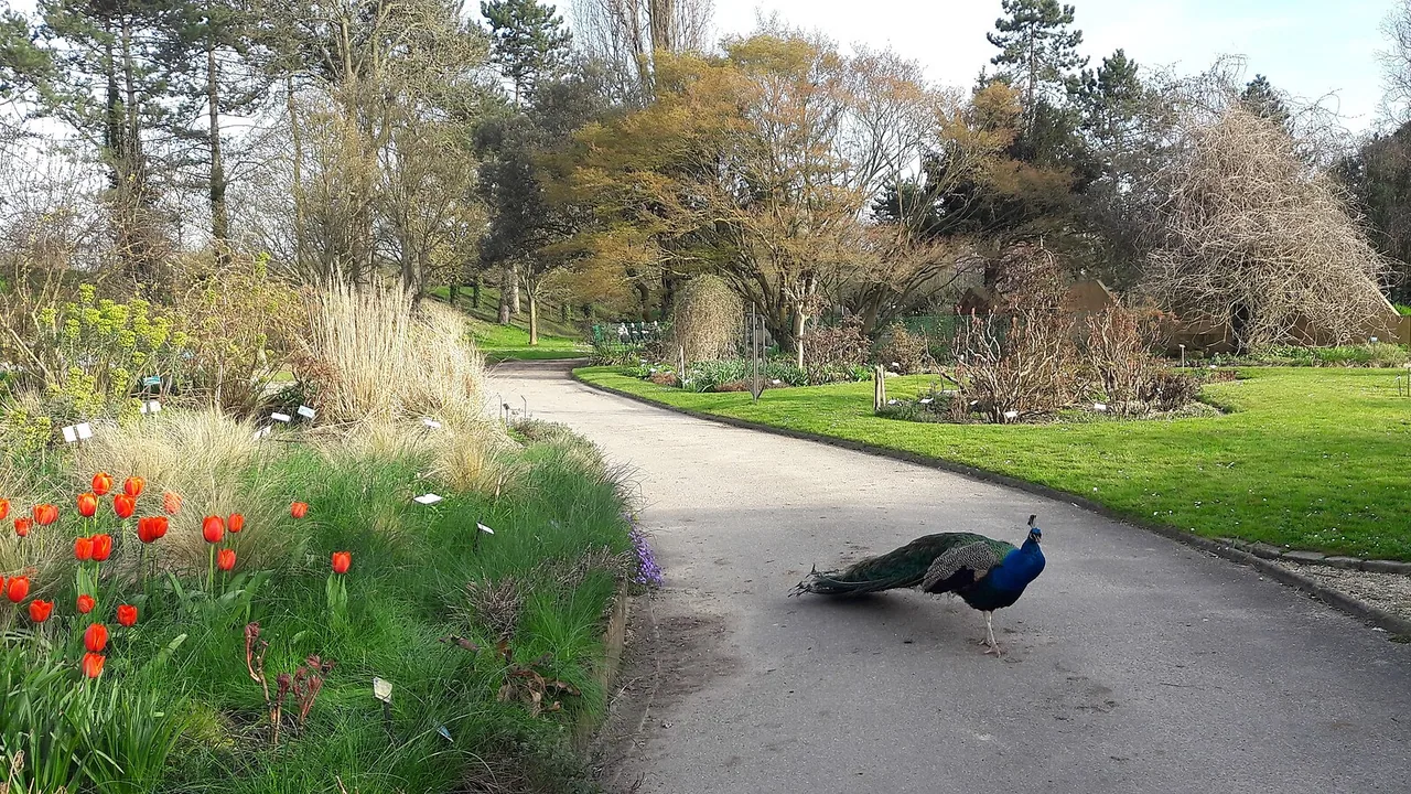Vue du Parc floral de Paris en journée, hors parcours lumineux de l’Odyssée Lumineuse